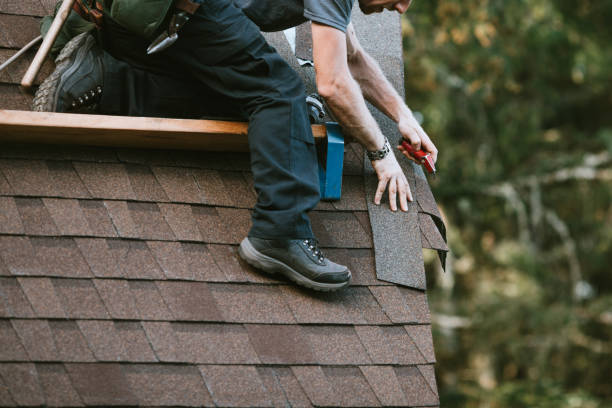Best Roof Gutter Cleaning  in Kuna, ID